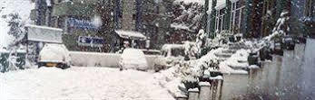 De Park Hotel Shimla Exterior foto